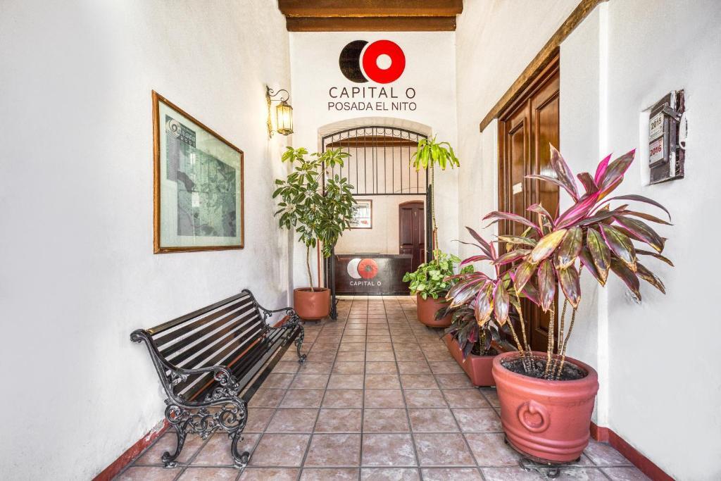 Capital O El Nito Posada Hotel Oaxaca Eksteriør billede